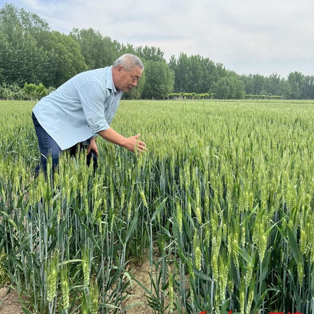 “总书记的嘱托我们做到了!”