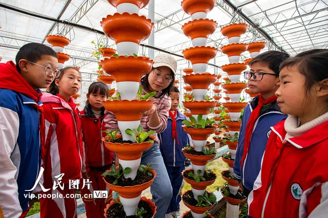 江西湖口:特色课堂让科普更生动