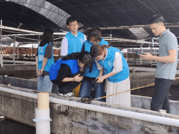 青春聚力!诏安探秘渔产生态 科普宣传共护蔚蓝海洋