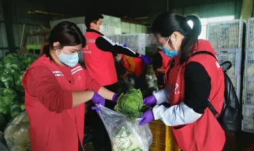 厦门海沧:这群“红马甲”坚守一座城