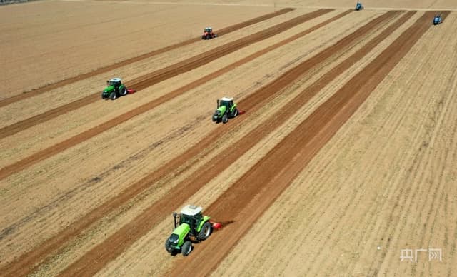 山西沁县:“稻蟹共生”打造“立体生态养殖”