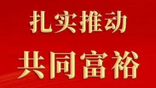 如何促进共同富裕,总书记这样部署
