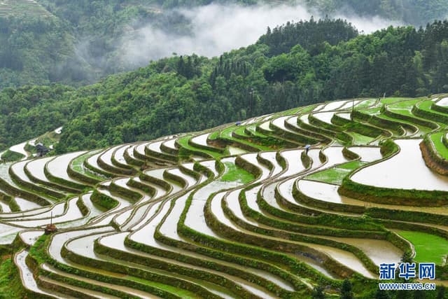 贵州加榜梯田:雕琢在深山里的诗行