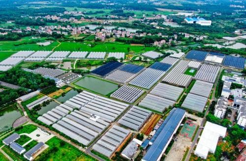 河南信阳:“多彩田园”助力乡村振兴