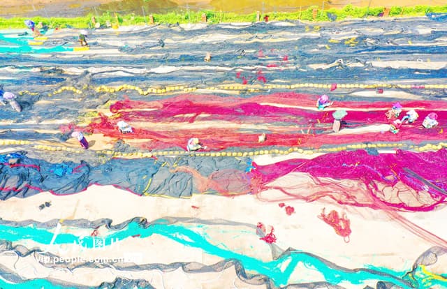 浙江温岭:休渔不休工 织补渔网忙