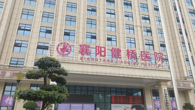 湖北襄阳通报“医院贩卖出生证”:院长已被采取刑事强制措施