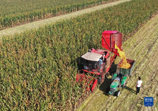 喜迎二十大丨河南:坚决扛稳粮食安全重任