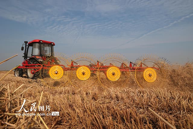 安徽宿松:秸秆利用 环保增效