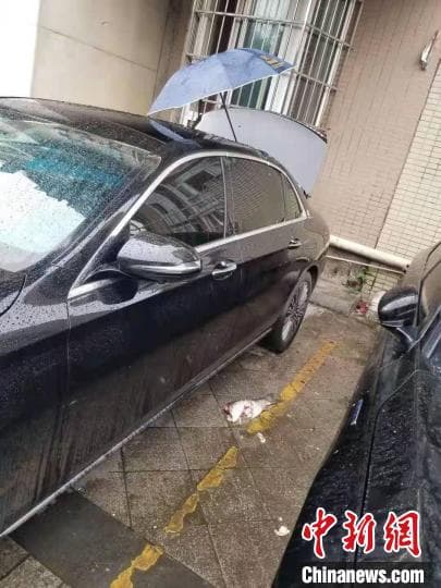 四川宜宾:“神鱼寻短”跃下18楼 砸烂奔驰车天窗幸无人受伤