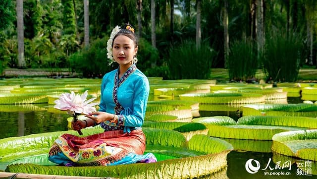 来云南西双版纳 和傣家姑娘一道体验“一叶当舟”