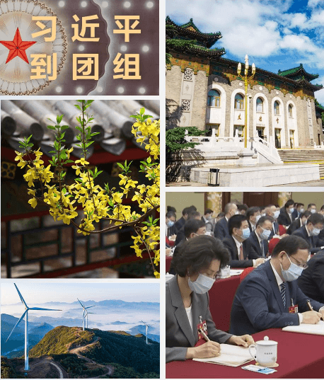 习近平参加政协联组会,为这件大事亮明态度、作出部署