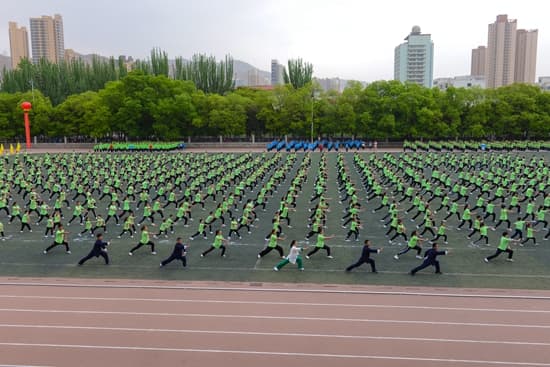 大学生遭遇“脆皮”标签:要多元支撑,更要修炼“硬核”心态