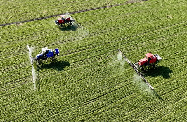 安徽亳州:小麦田管忙