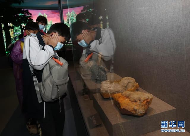 湖南张家界:博物馆里研学游