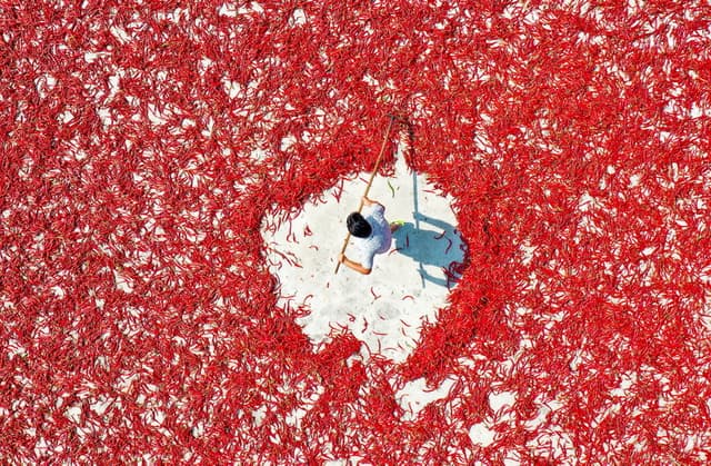 贵州玉屏:辣椒丰收晾晒忙