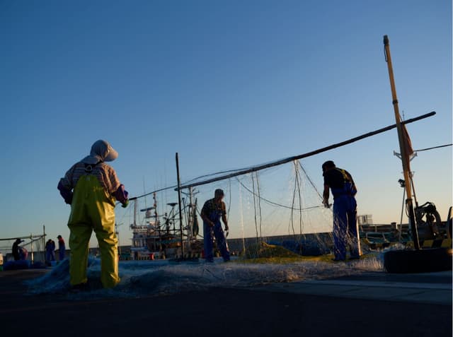 海关总署:即日起全面暂停进口原产地为日本的水产品