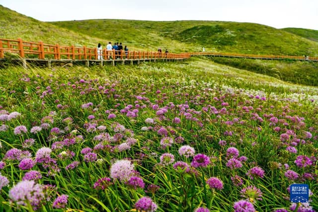 贵州赫章:全域旅游助力乡村振兴