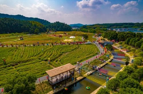 河北蔚县:86名“兵支书”为农村党建添活力