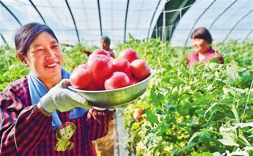 河北平山:大力推进乡村振兴: 革命老区接续“赶考”