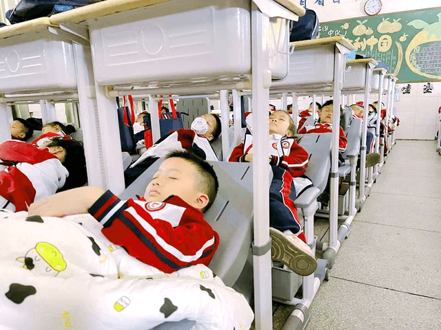 睡饱又睡好 如何让优质午休成为中小学生的“标配”?