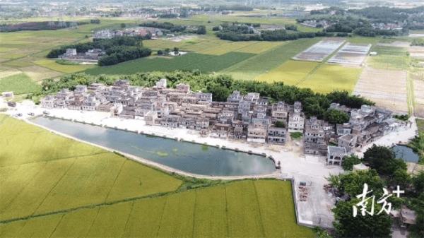 广东开平市茅冈村:红色乡村,党建引领闯出一条蝶变路