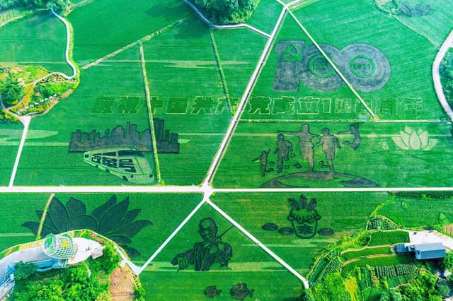 重庆大足:以稻为笔 勾勒美丽乡村画卷
