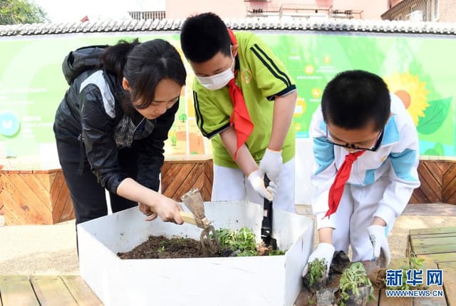 北京海淀:街区增绿我参与