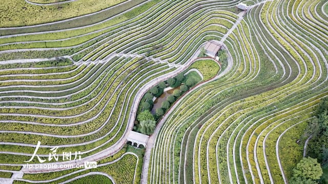 贵州大方:古镇梯田景如画