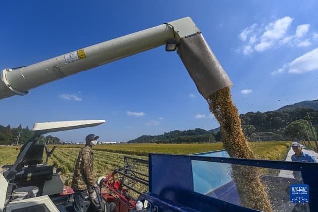 浙江富阳:鱼米之乡喜迎丰收