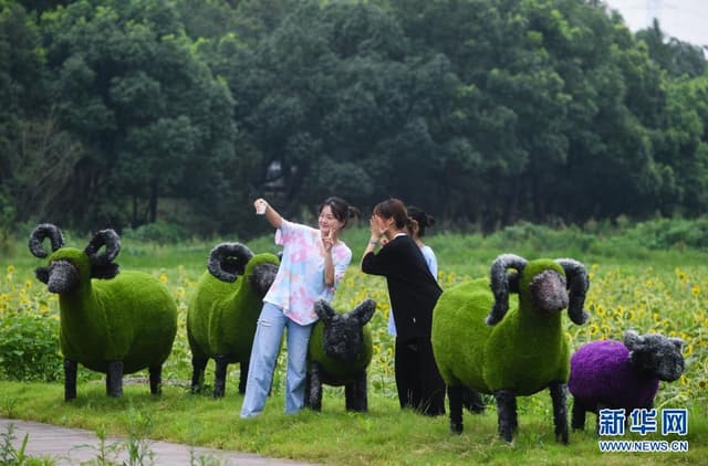 浙江湖州:建设特色度假小镇 助推乡村振兴